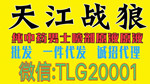 TLG20001 